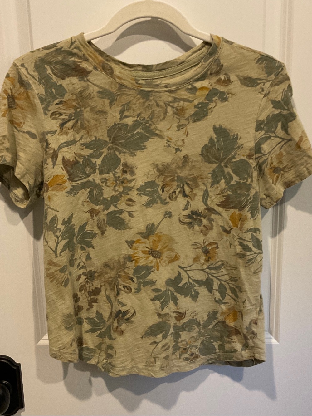 Pilcro Floral Short Sleeve Tee in Sage and Mustard Accents